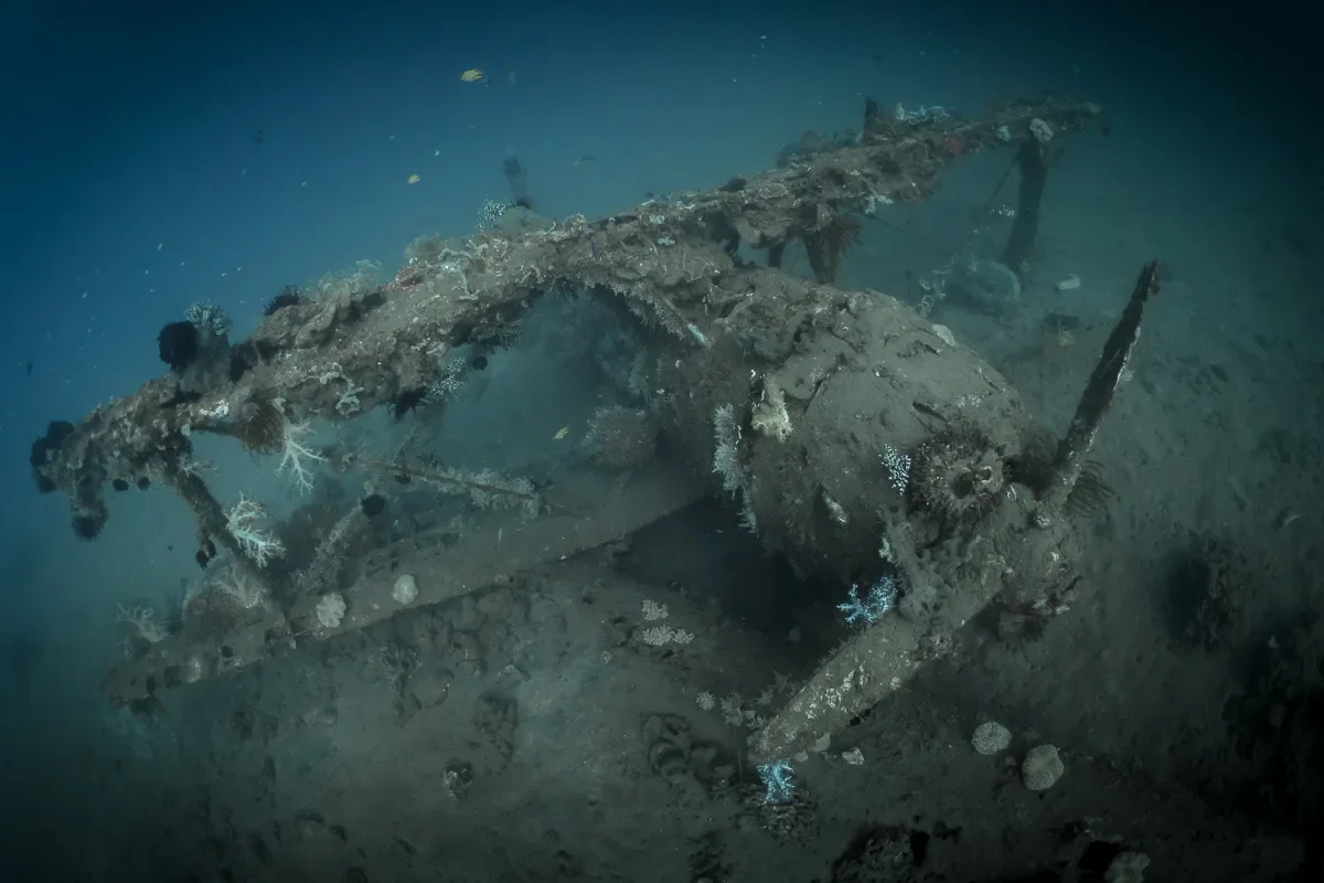 Dive WWII wrecks