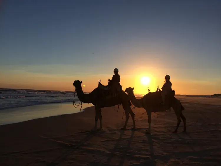 Stockton Bight Sand Dunes