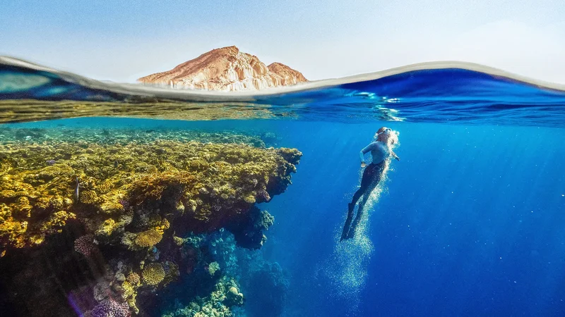 Red Sea Discovery: 7 Days of Reef & Desert - Image 2