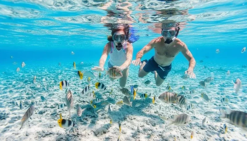 Bonifacio to Lavezzi Islands & Cavallo Island