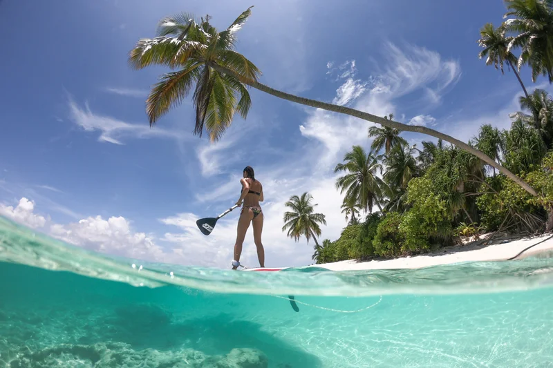 Paddleboard & Kayak Tours