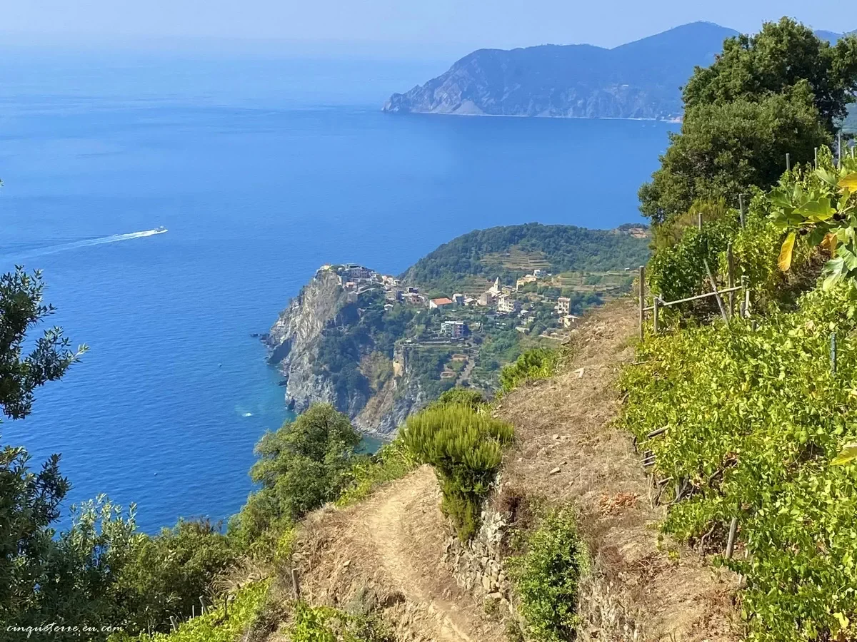 Sentiero Azzurro Trail
