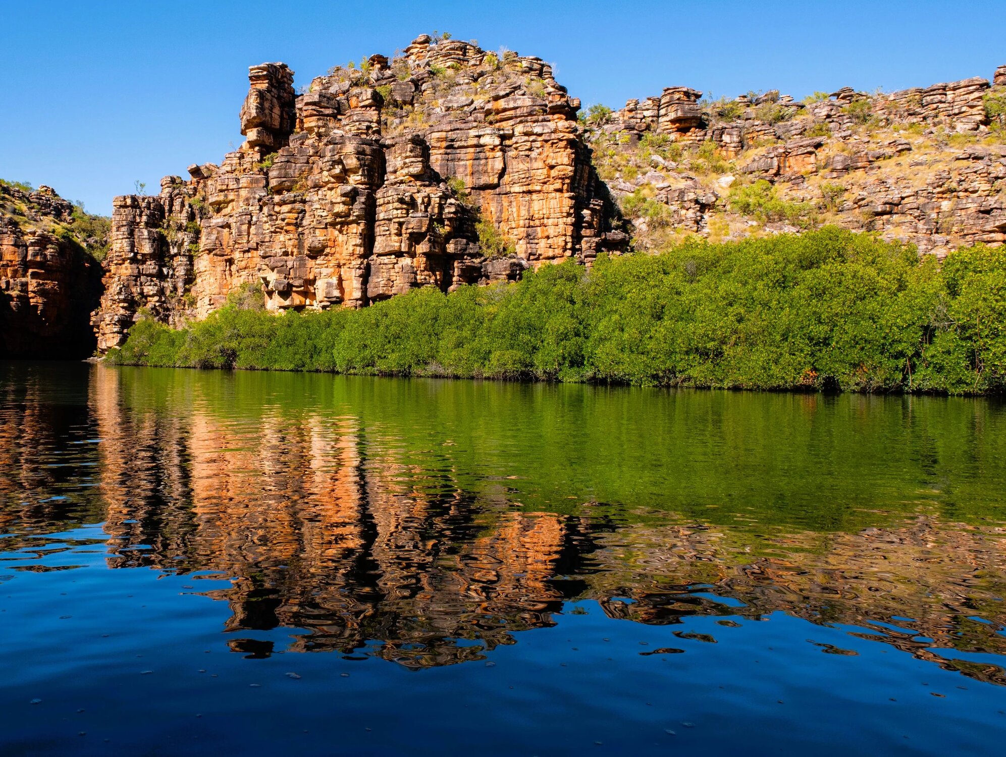 Redcone Creek Serenity - 1