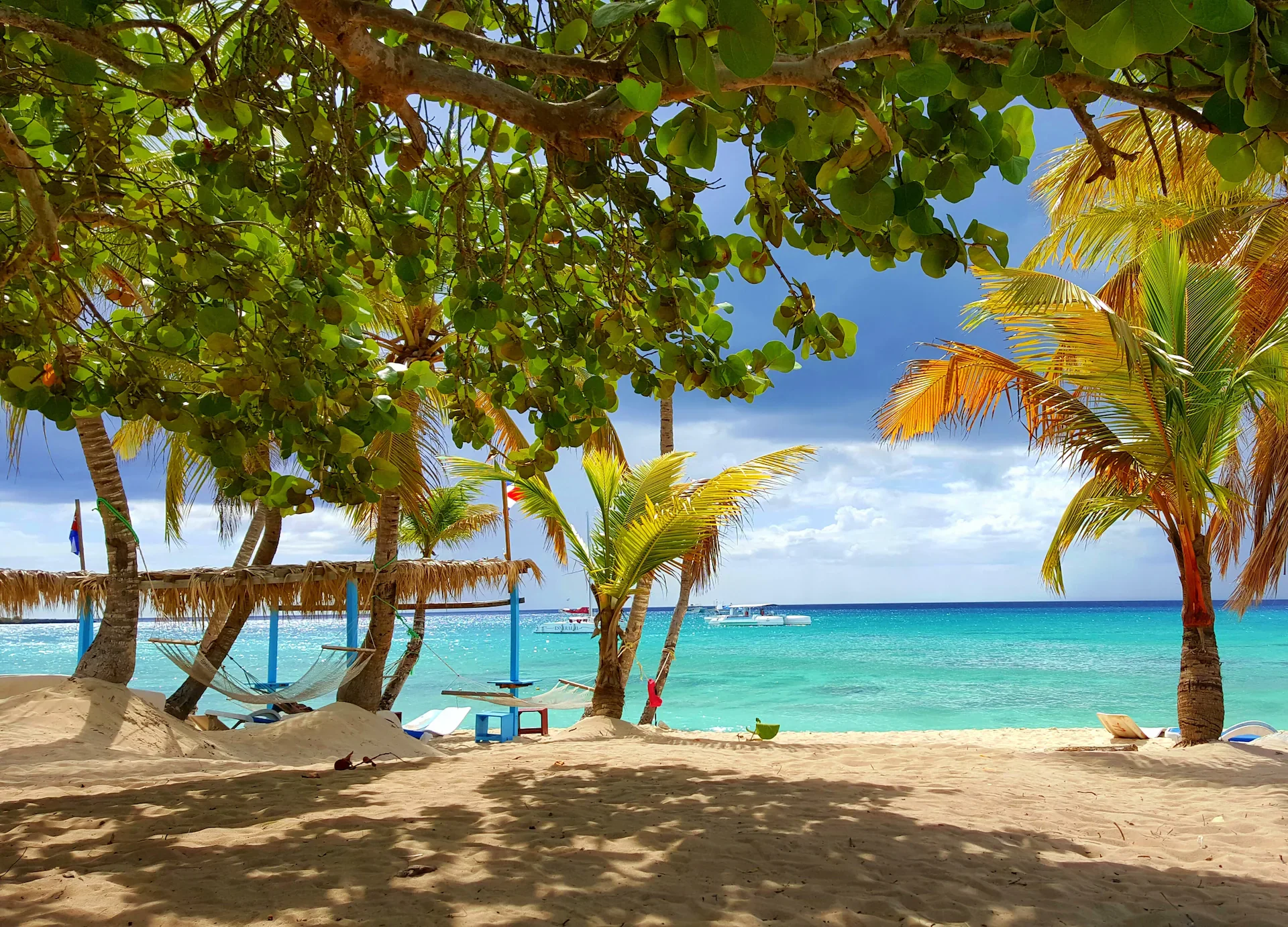 Caribbean Charter Season