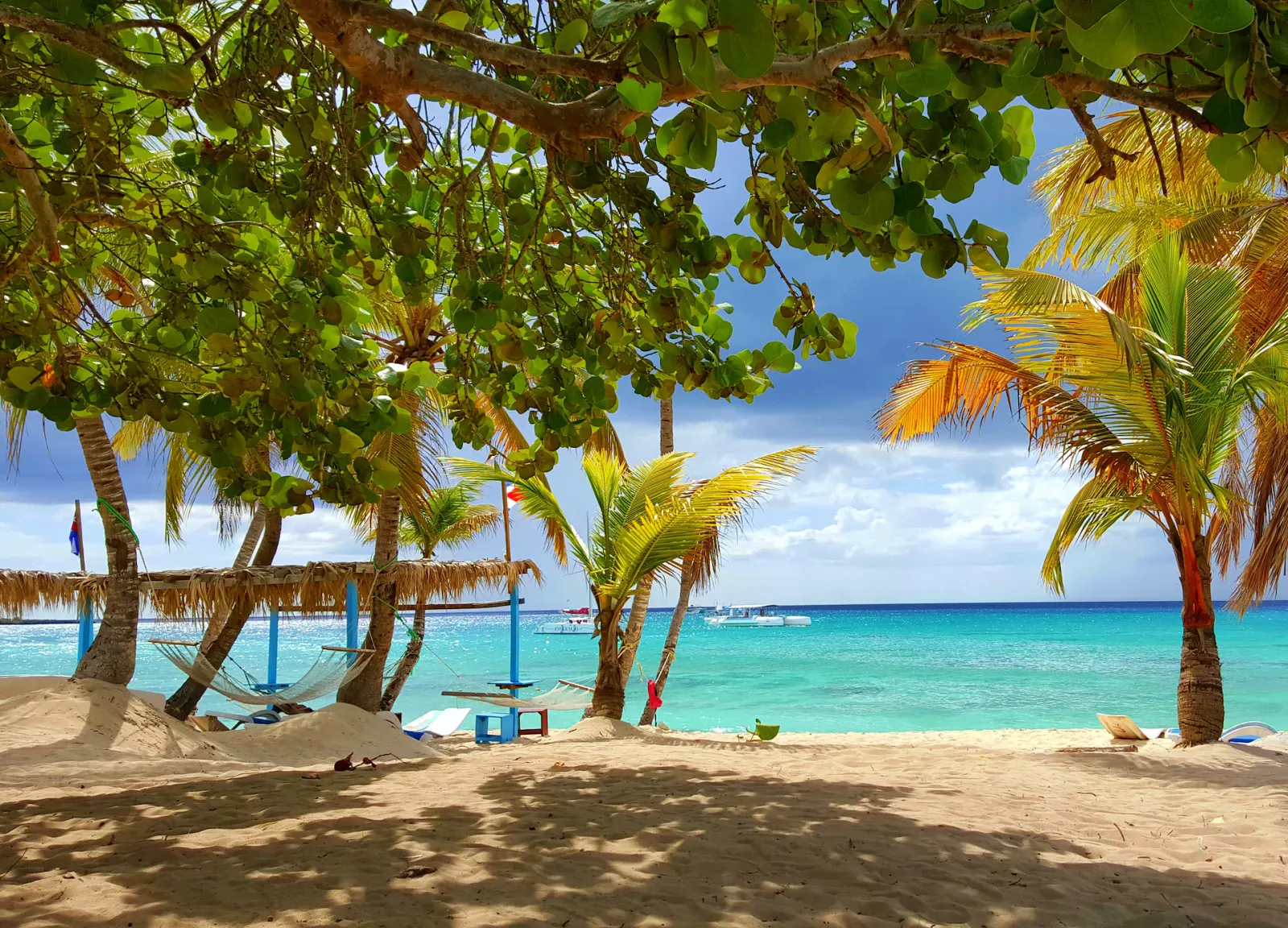 Caribbean Charter Season