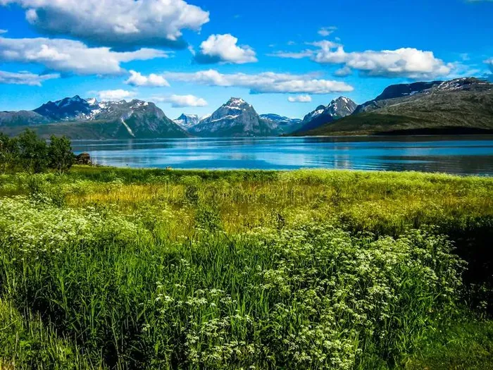 Manshausen & Steigen