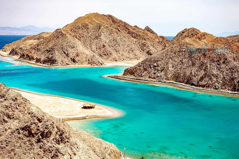 Red Sea Discovery: 7 Days of Reef & Desert - Image 4