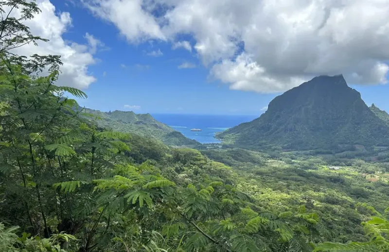 Visit the Belvedere Lookout (Mo'orea)