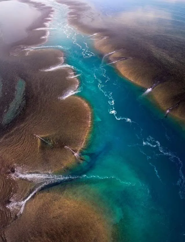 Montgomery Reef Immersion