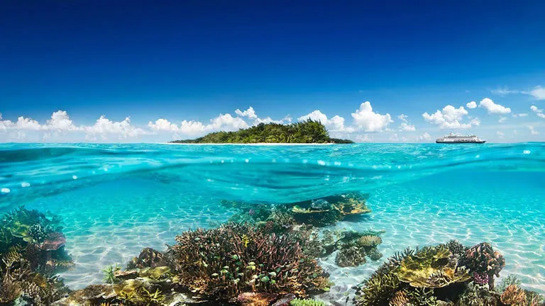 Remote island exploration