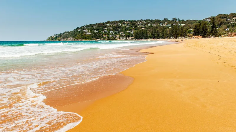 Palm Beach & Barrenjoey Lighthouse Adventure