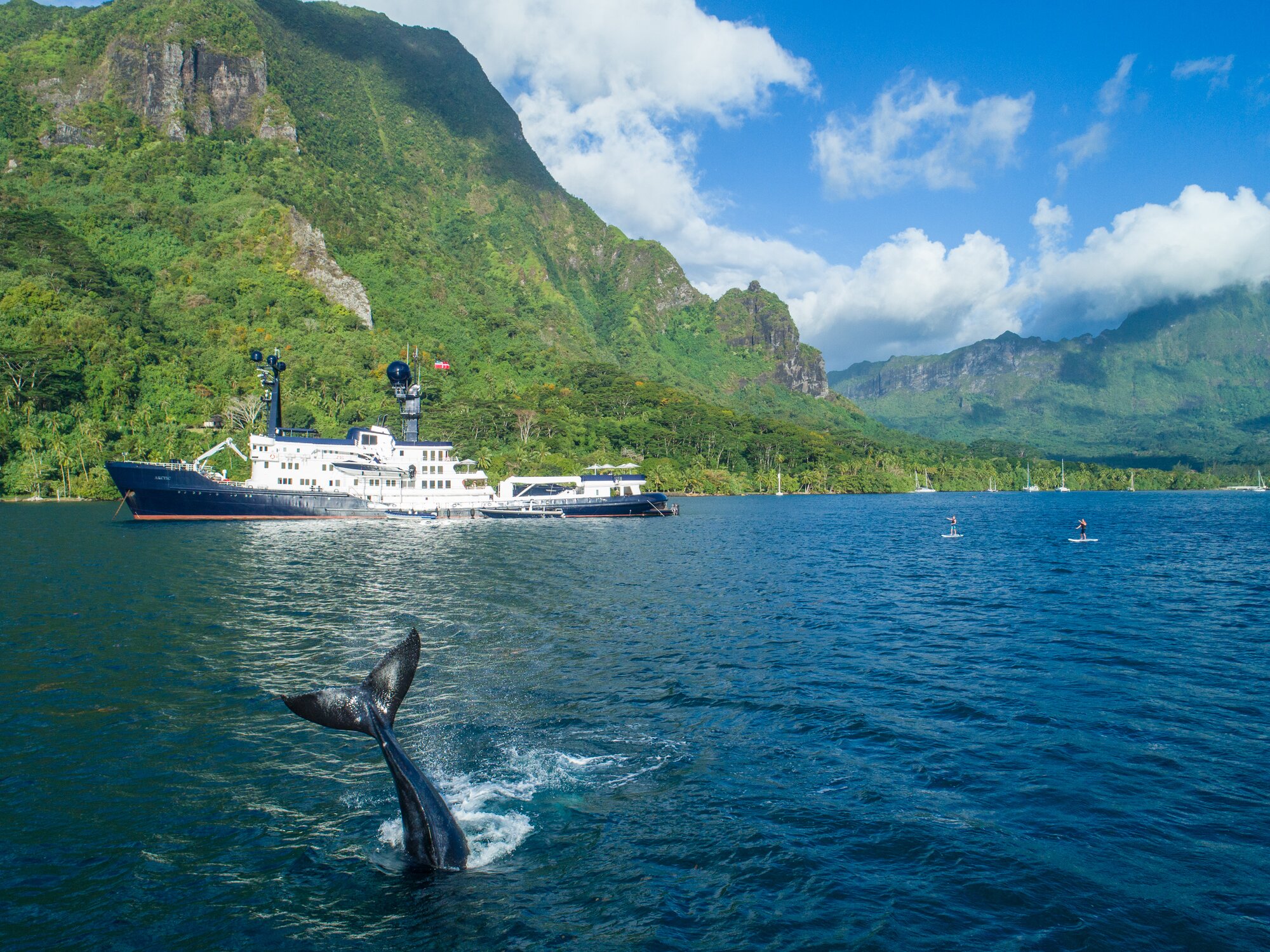 Remote Destinations: Ross Sea & New Zealand