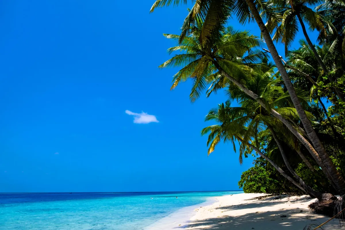 Day 2, Felidhoo - Diver's Paradise