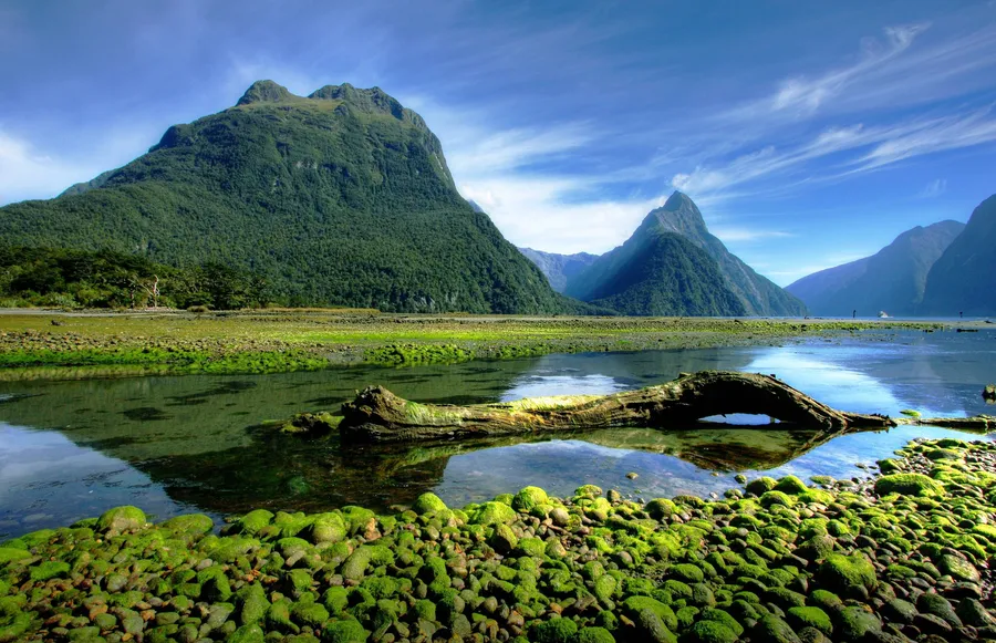 Fiordland exploration