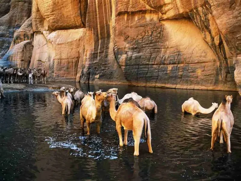Wadi el Gemal National Park