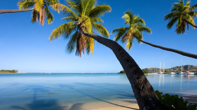 Monoriki Island & Castaway Adventure