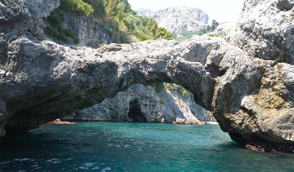 Hidden Grotto Tenders