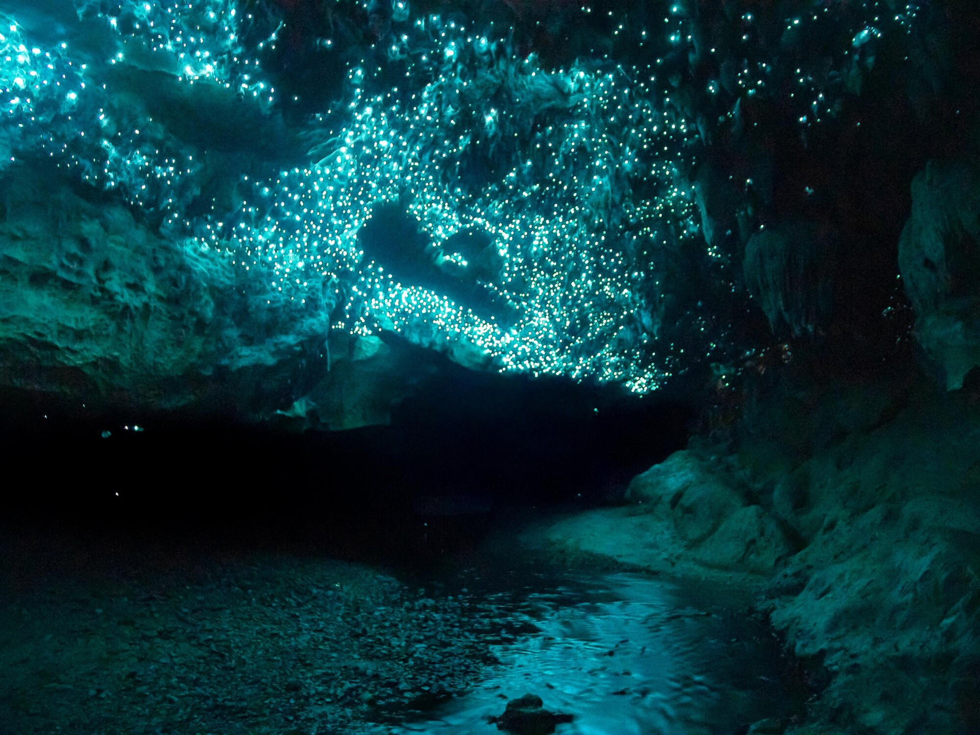 Waitomo Glow Worm Caves