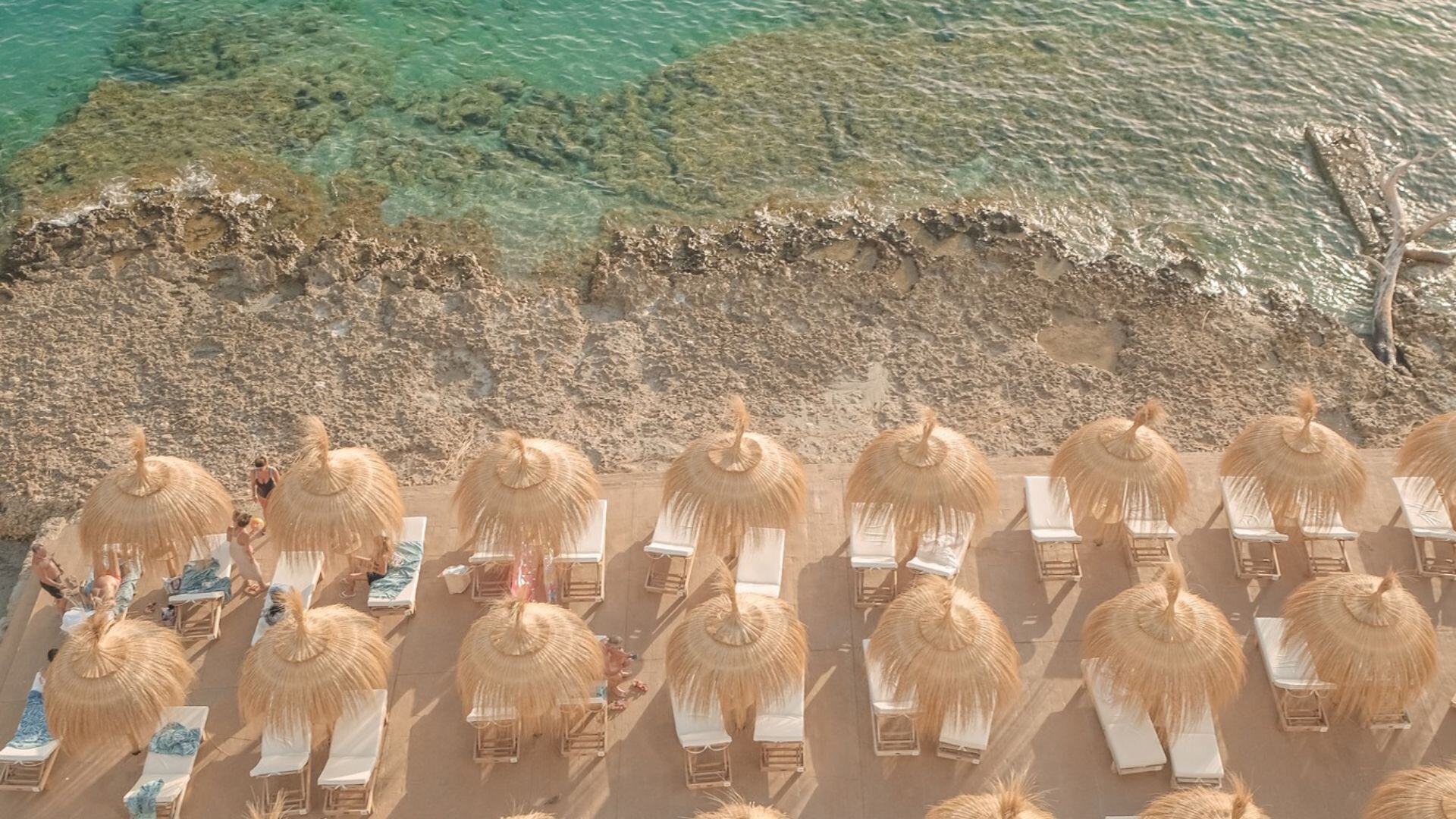 Beach Club Access and Dining