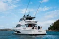 Whale Watching by Boat from Sydney