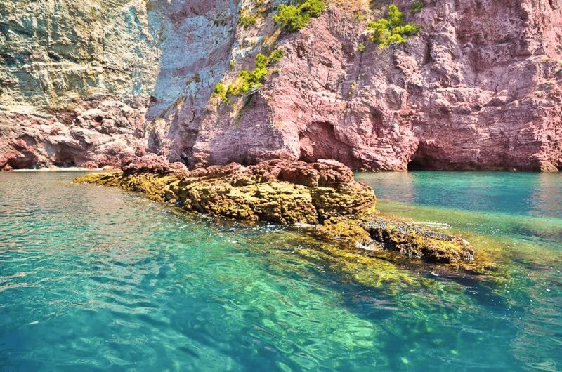 Secluded Cove Swims