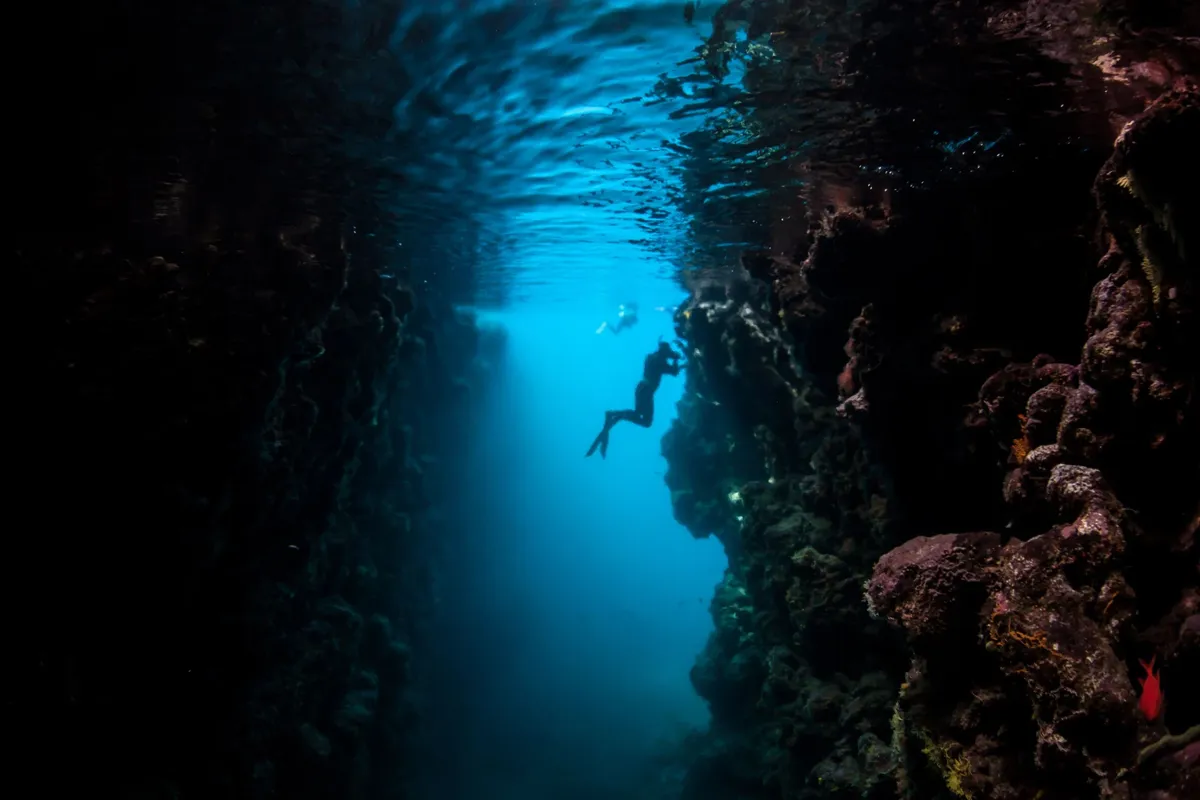 Day 6, Mborokua (Mary Island) | World-Class Diving