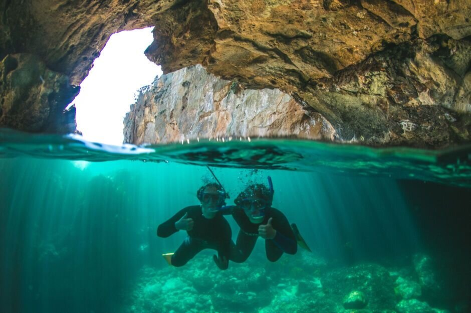 Poor Knights Islands Marine Reserve