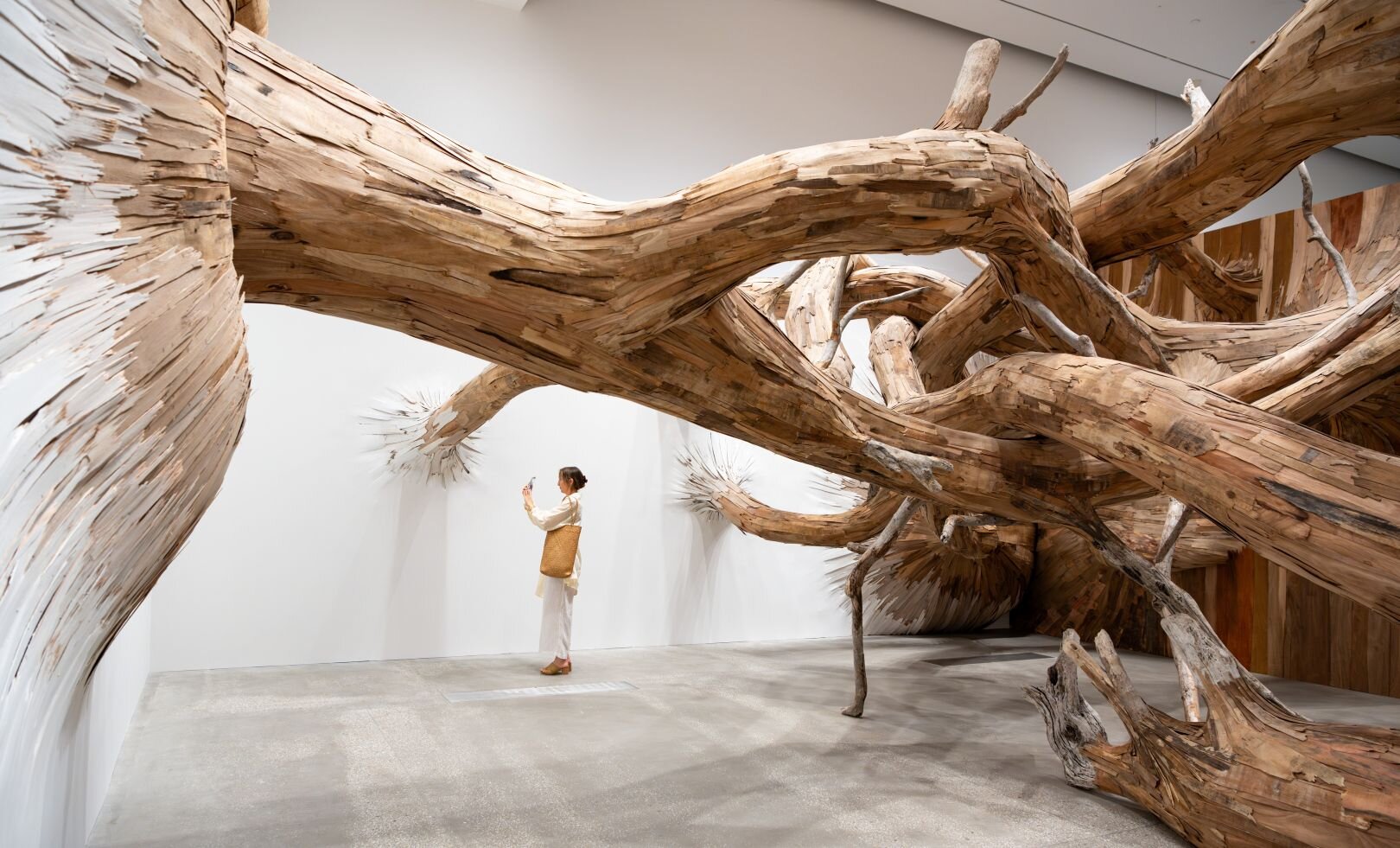 GOMA (Gallery of Modern Art)