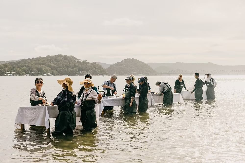 Culinary Excellence & Oyster Experience