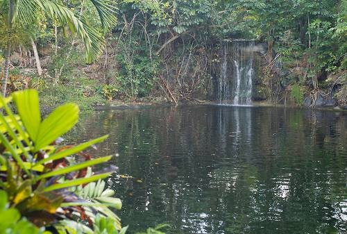 Garden of the Groves