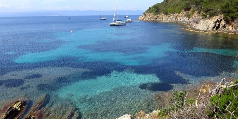 Porquerolles island's pine-backed beach
