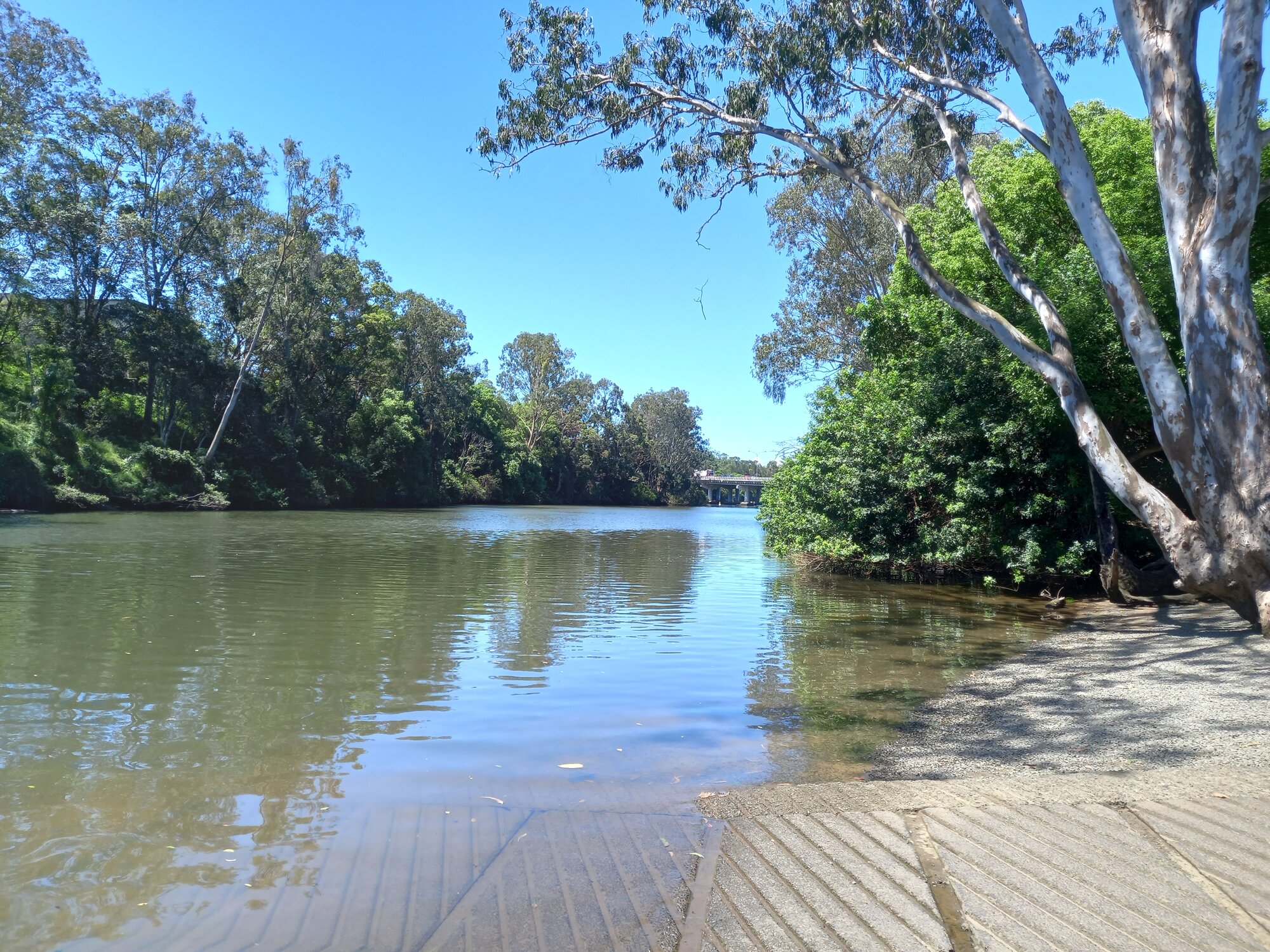 Nerang River Cruise
