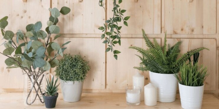 Pine Furniture Boards