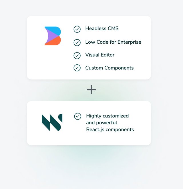 Whitespectre software engineering tech partner and Builder.io headless CMS combination