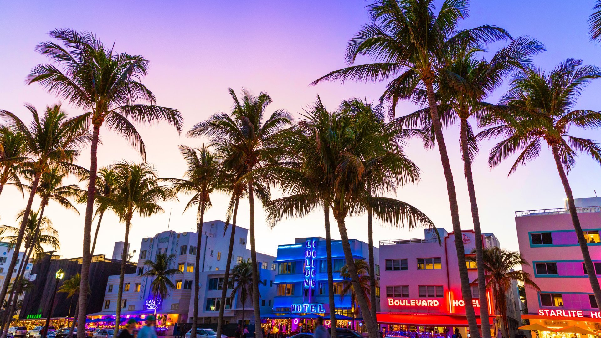 Condo Insurance Policies in Miami, Florida