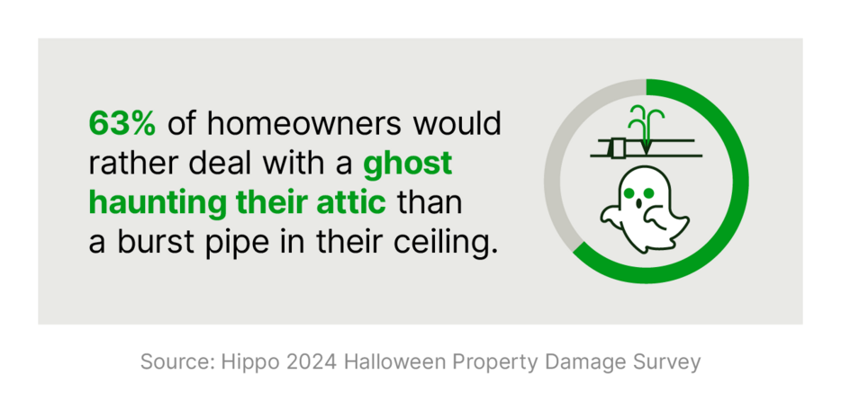 A graphic shares how 63% of surveyed homeowners would rather have a ghost in their attic rather than a burst pipe.