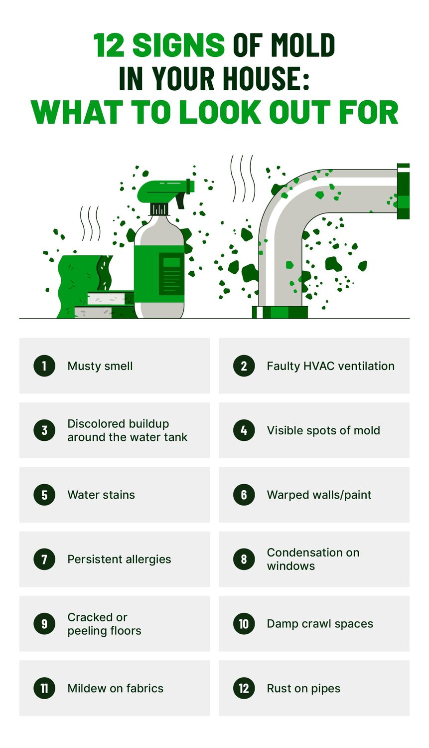 A graphic highlighting the 12 signs of mold in your home and what to look out for.