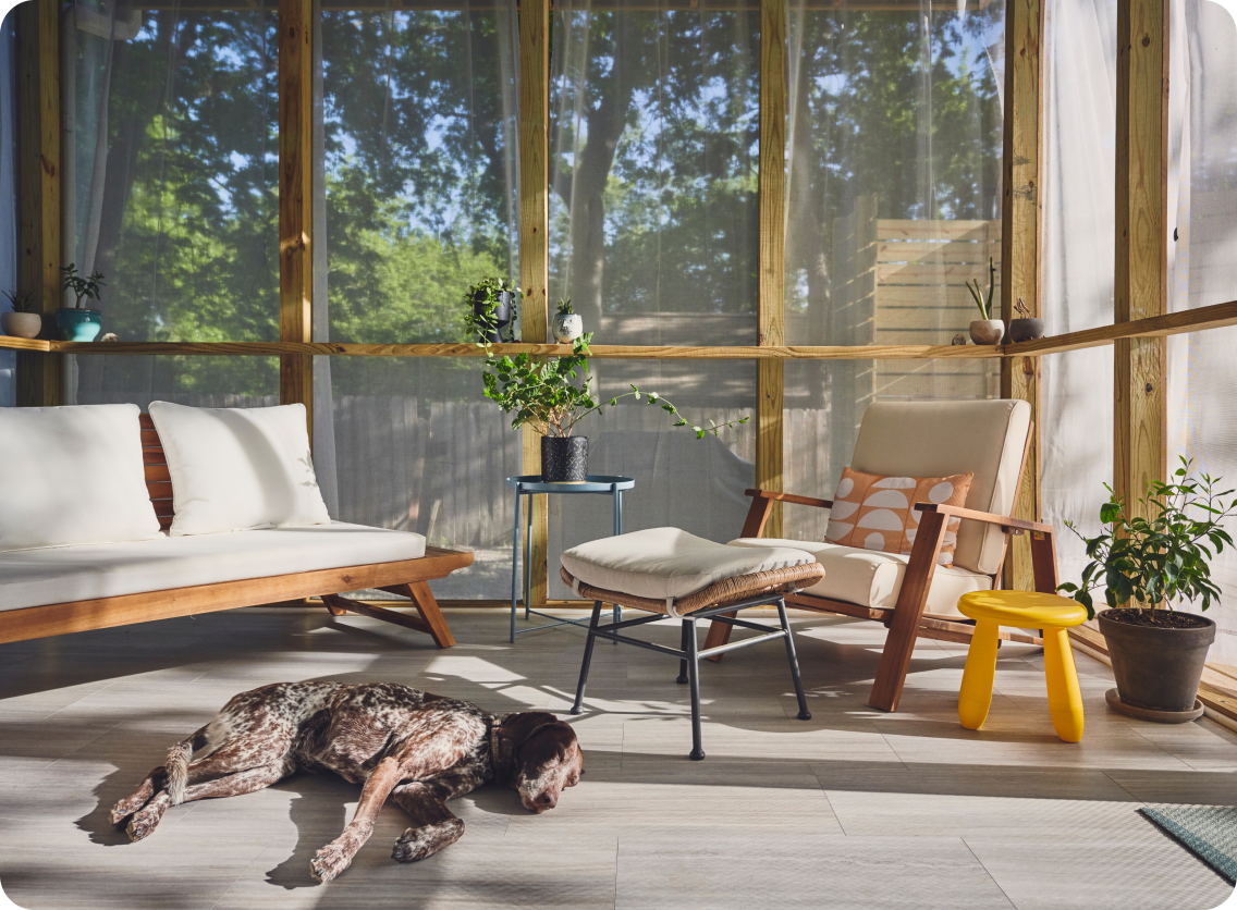 A bright, modern living room with comfortable furniture and large windows. A dog sleeps in the foreground.