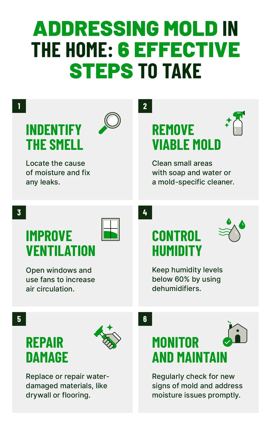 A graphic highlighting 6 effective steps to address mold in the home.