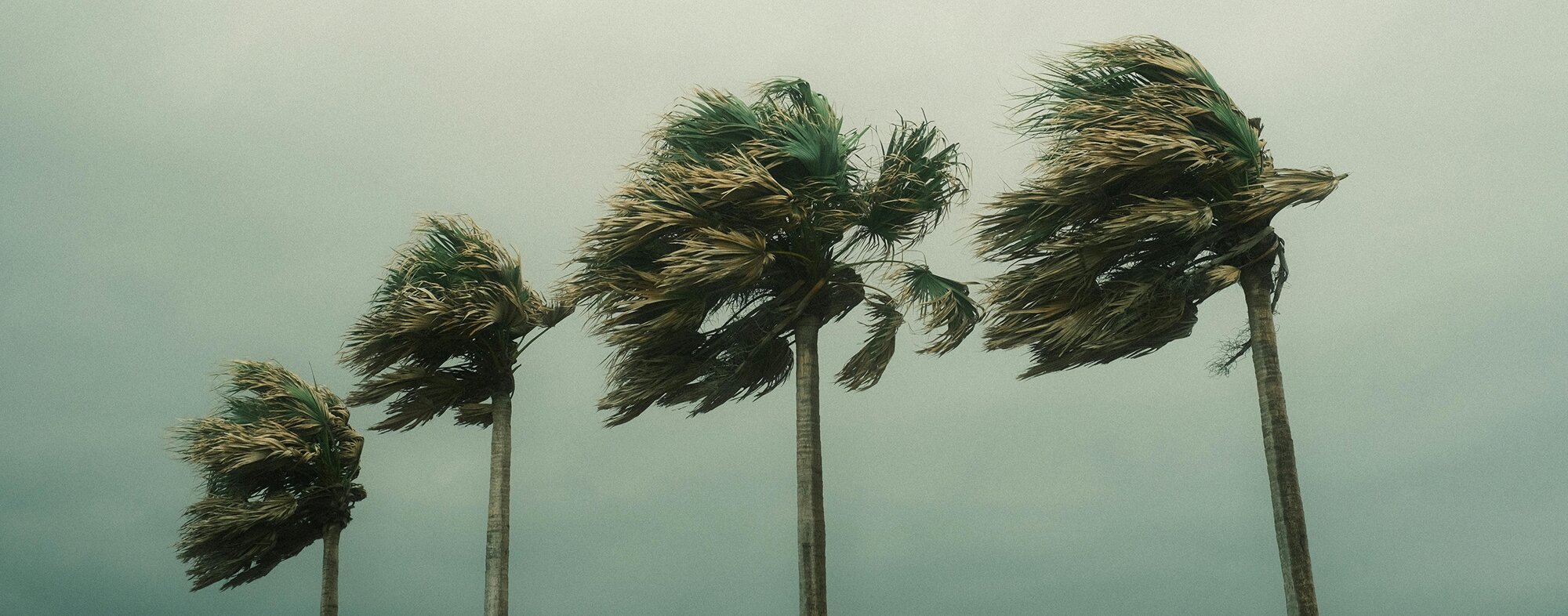 Protecting your Home from High Winds & Hail cover