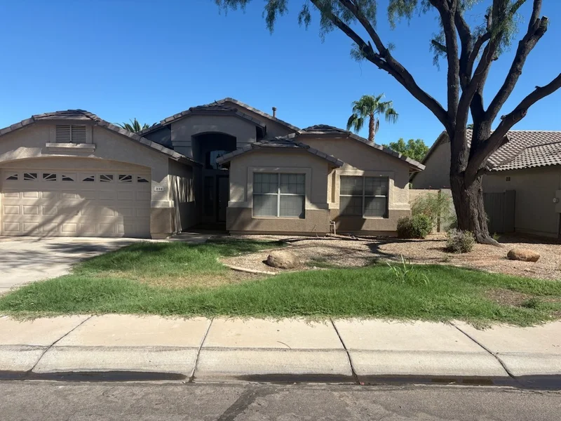 Front yard landscaping with a large shade tree and gravel beds