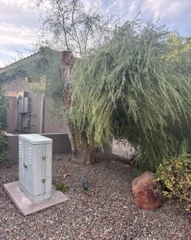 Before and after photos of a backyard tree removal