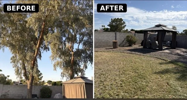 Large cut tree trunk and wood debris on a gravel yard