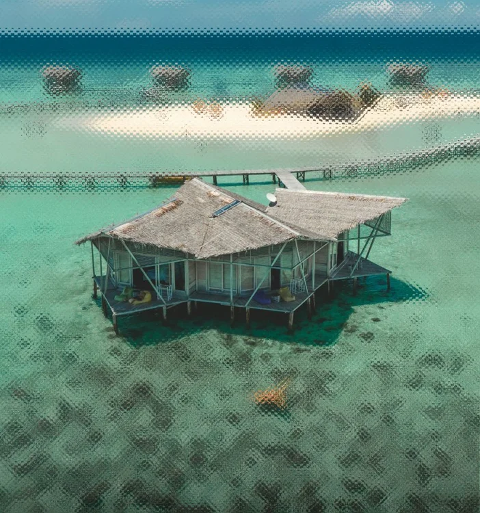holiday
