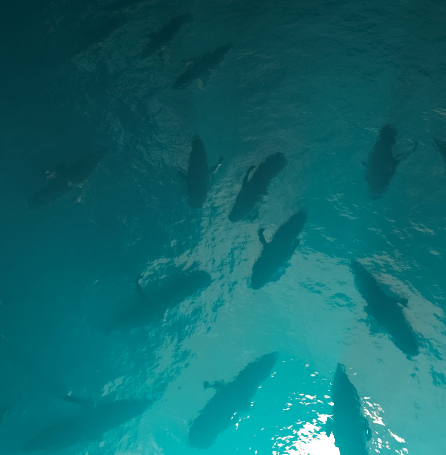 ocean water