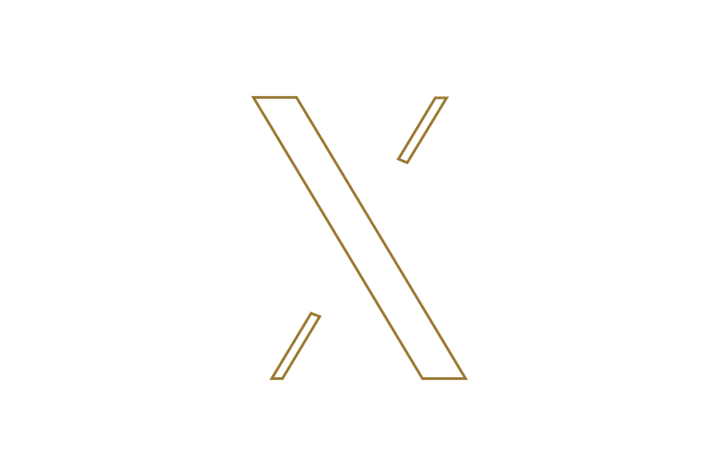 X icon