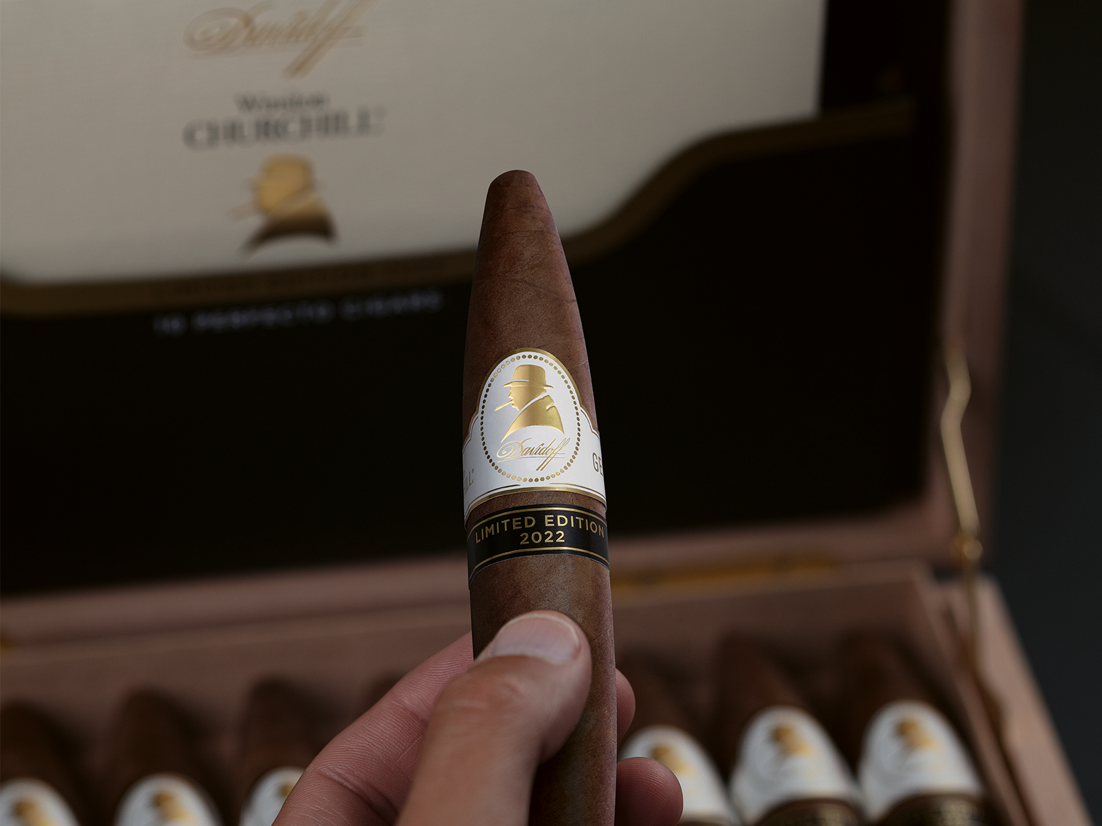 Hand holding a Davidoff Winston Churchill Limited Edition 2022 perfecto cigar. 