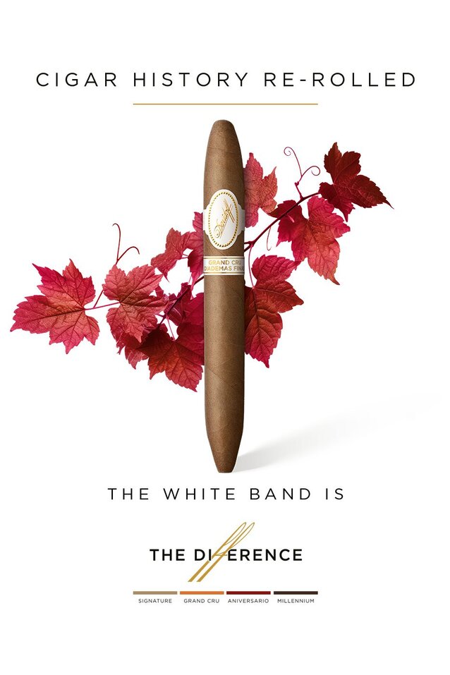 The Davidoff Grand Cru Diademas Finas Limited Edition Collection cigar in front of red vine leaves.