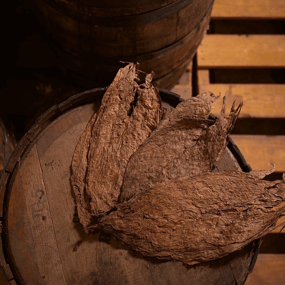 A closed whisky cask with two fermented tobacco leaves on top.