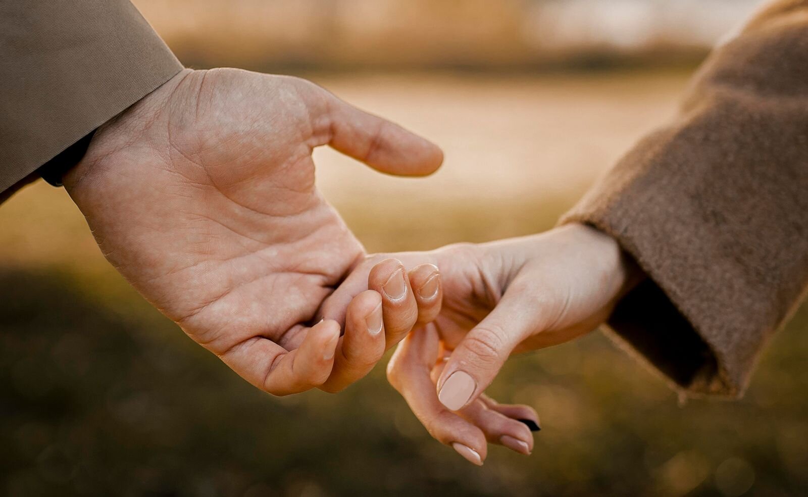 a close-up of a handshake, male hand holding a female hand 